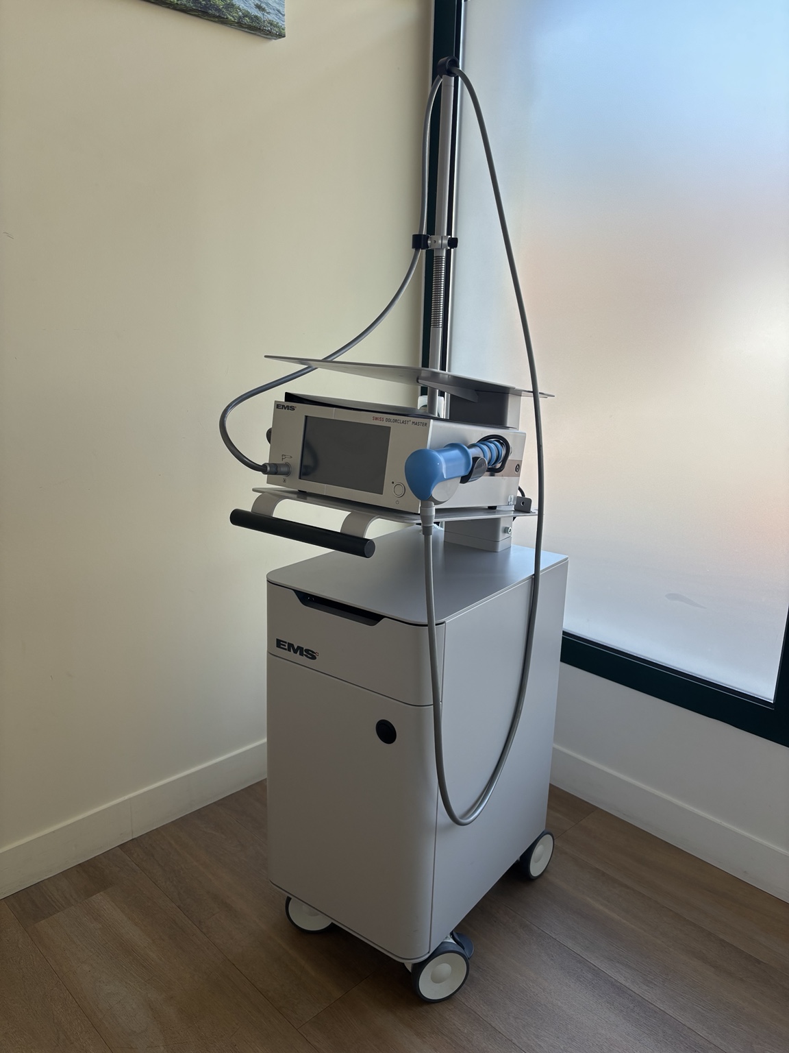 EMS Swiss DolorClast Master